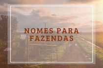 Diversão garantida: Como escolher nomes de fazenda engraçados para