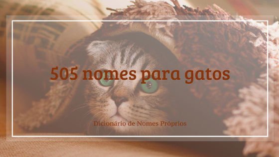 505 nomes para gatos e gatas - clássicos e originais - Dicionário de Nomes  Próprios