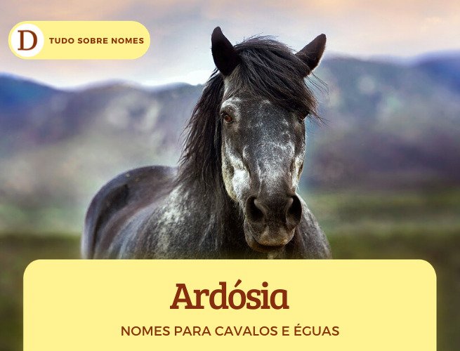 Nomes para cavalos e éguas: 234 ideias famosas, bonitas, em inglês, vitoriosas e engraçadas