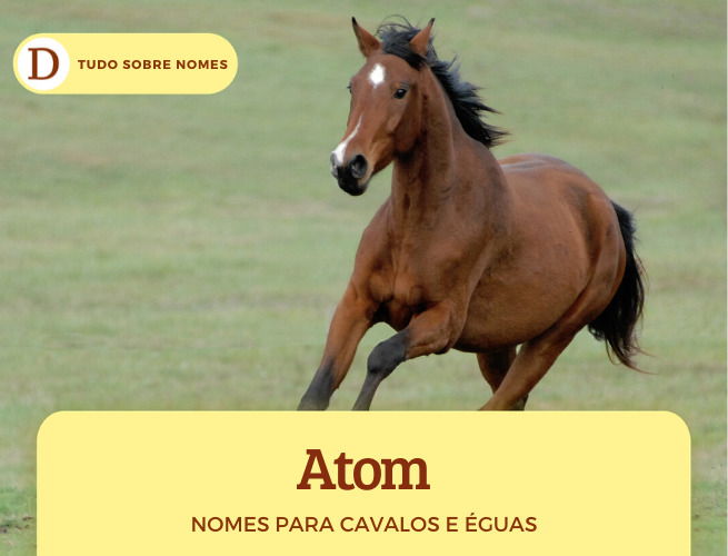 NOMES ENGRAÇADOS PARA JOGOS: Cavalo de três pernas? 