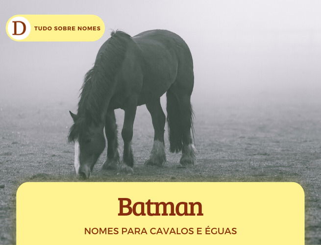 22 ideias de Rodeio  rodeio, cavalos, cavalo desenho