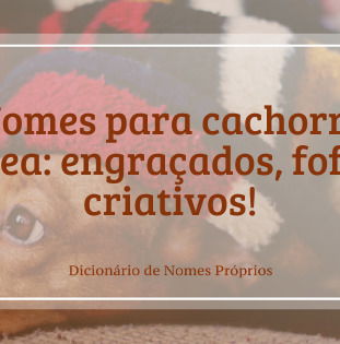 Ideias de Nomes para Cães e Cadelas de A a Z, Mais conselhos