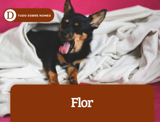 Flor