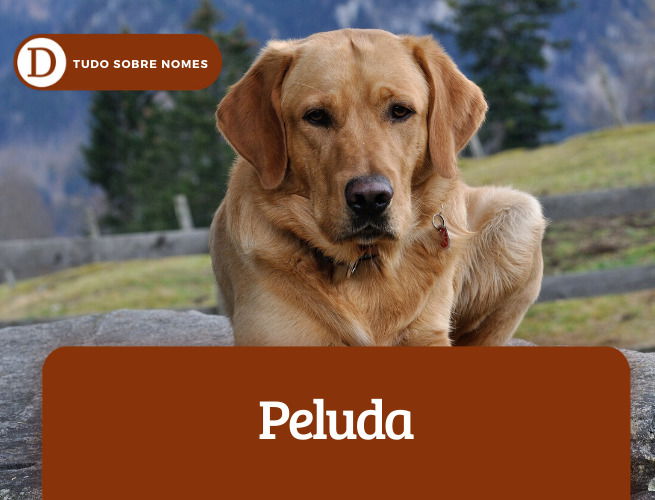 Peluda