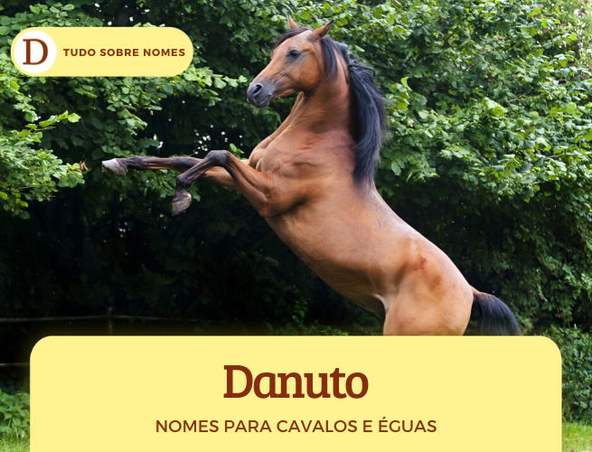 Nomes para cavalos e éguas: 234 ideias famosas, bonitas, em inglês, vitoriosas e engraçadas