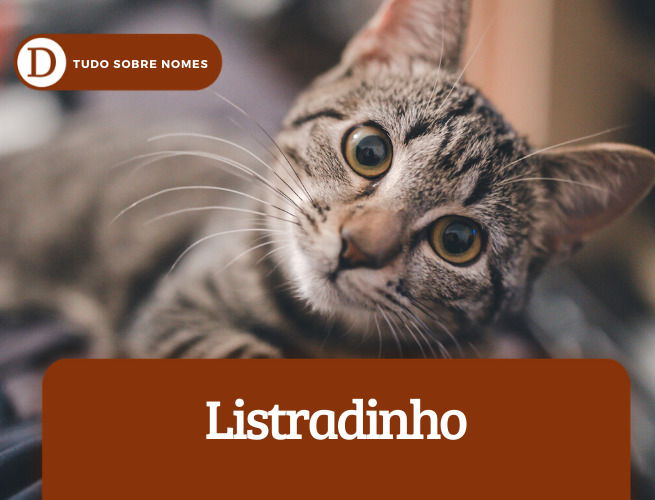 dicio-de-nomes-gatos-01
