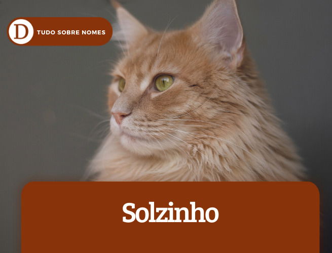 dicio-de-nomes-gatos-08