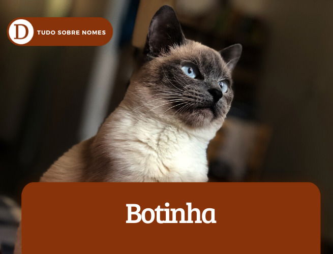 dicio-de-nomes-gatos-11