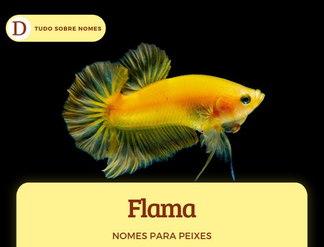 100 nomes lindos para peixes de estimação