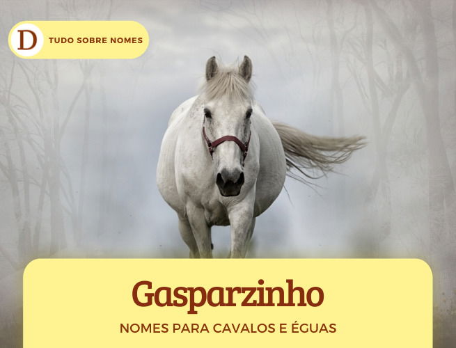 Nomes para cavalos em INGLÊS - Machos e fêmeas