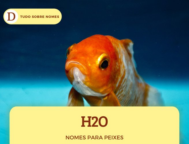 100 nomes lindos para peixes de estimação