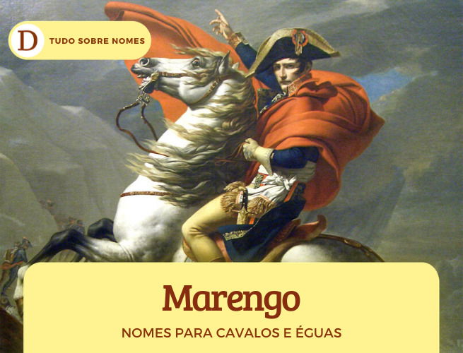 Nomes para cavalos em INGLÊS - Machos e fêmeas