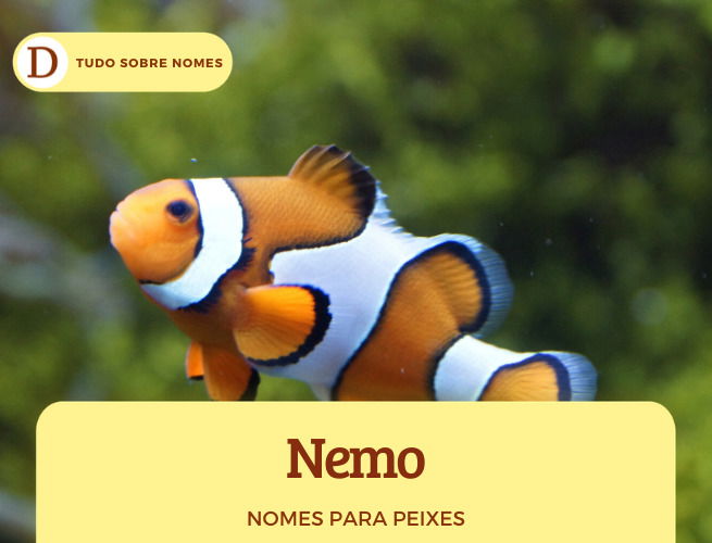 100 nomes lindos para peixes de estimação