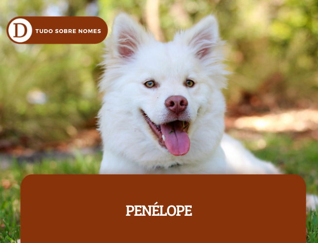 NOMES DE CACHORRO_PENELOPE