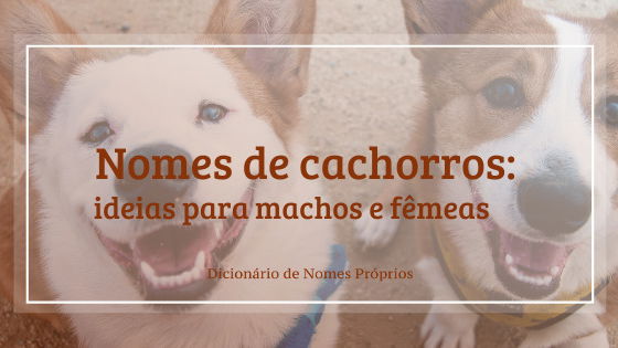 Ideias de Nomes para Cães e Cadelas de A a Z, Mais conselhos