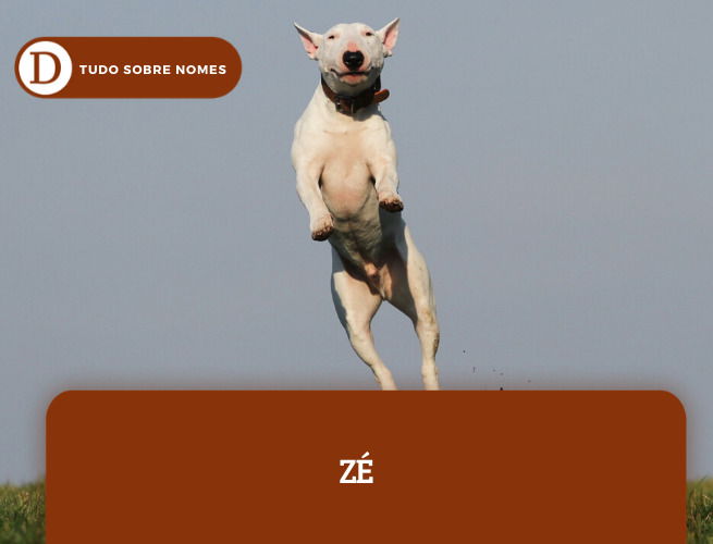 NOMES DE CACHORROS_7