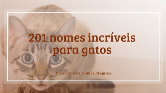 505 nomes para gatos e gatas - clássicos e originais - Dicionário de Nomes  Próprios