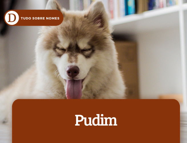 Pudim