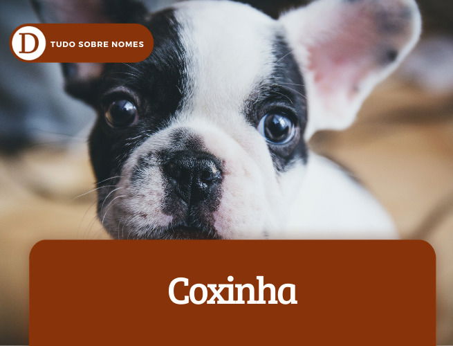 Coxinha