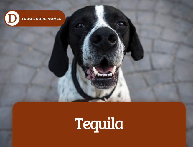 tequila