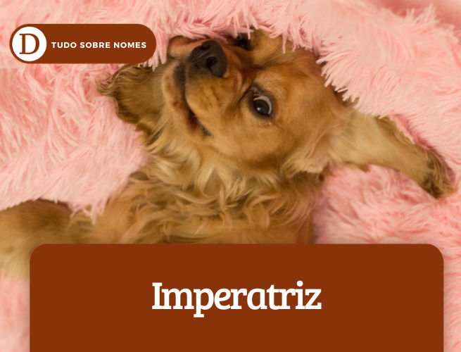 Imperatriz
