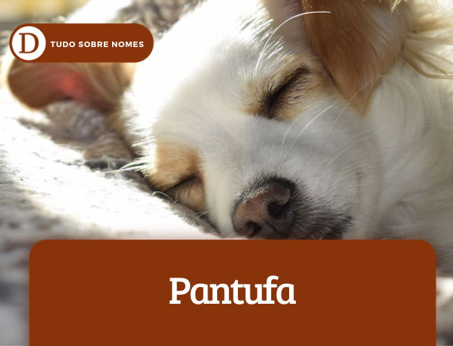 Patufa
