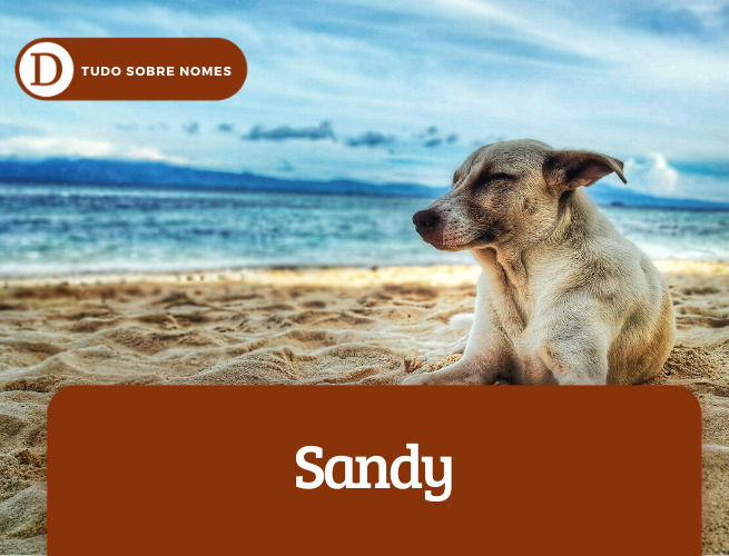 Sandy