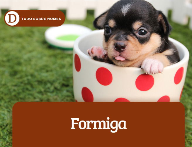 formiga
