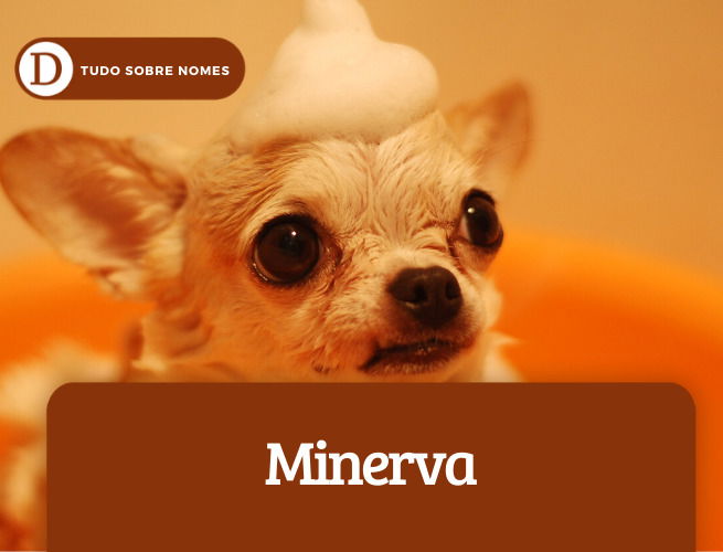 Minerva