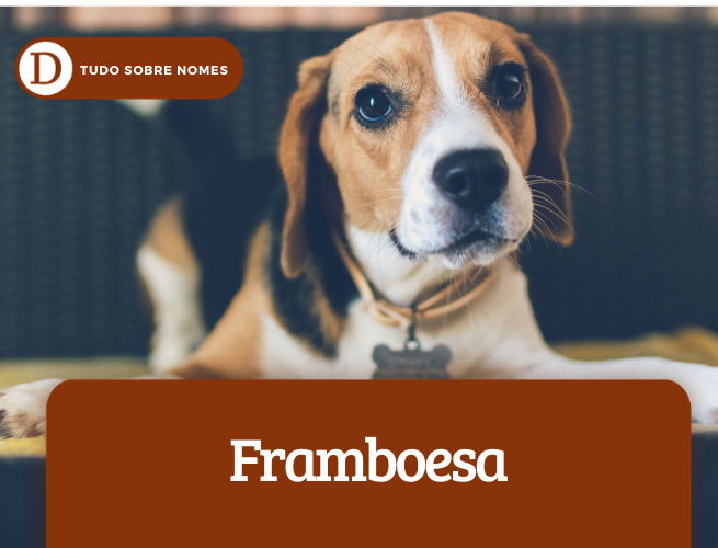 Framboesa