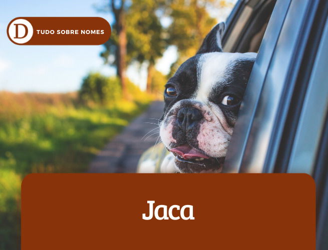 Jaca