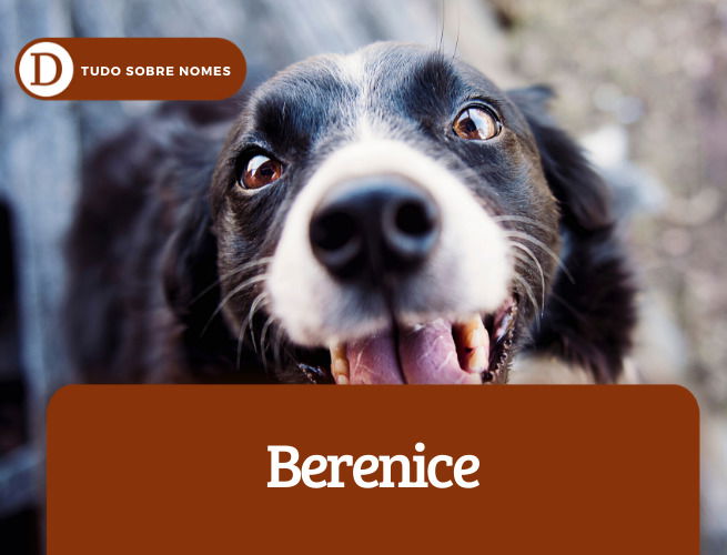 Berenice