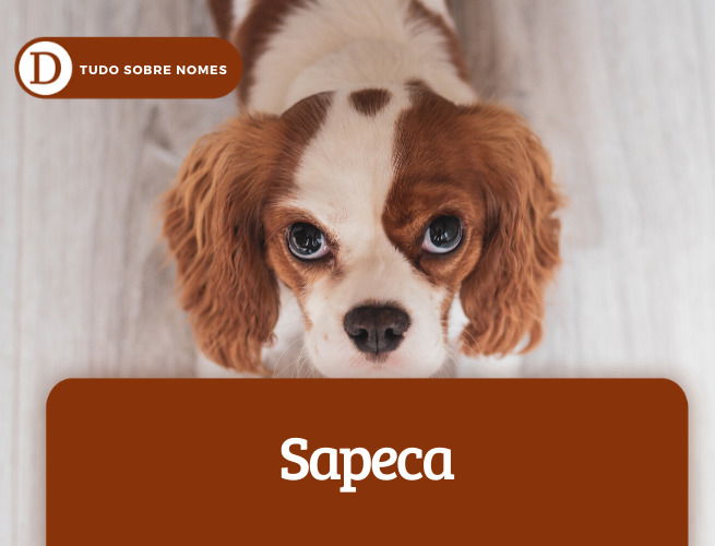 Sapeca