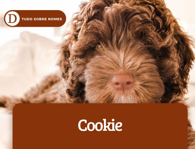 cookie