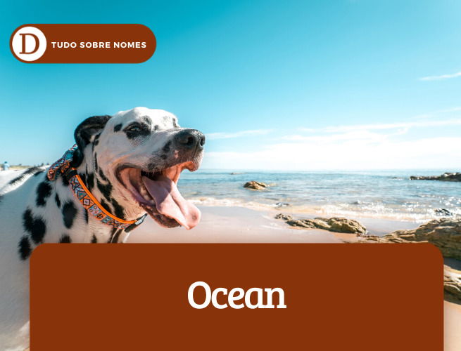ocean