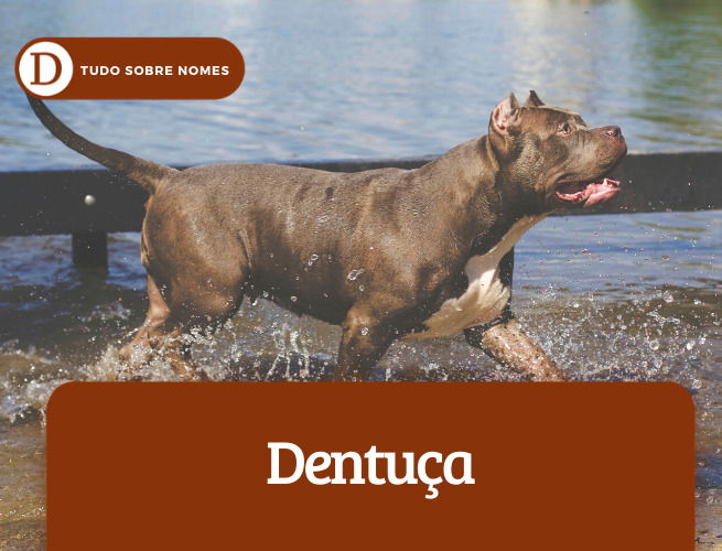 dentuça
