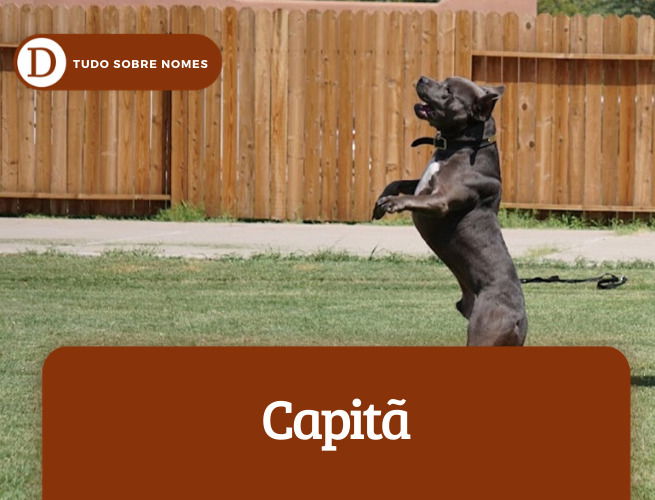 Capitã