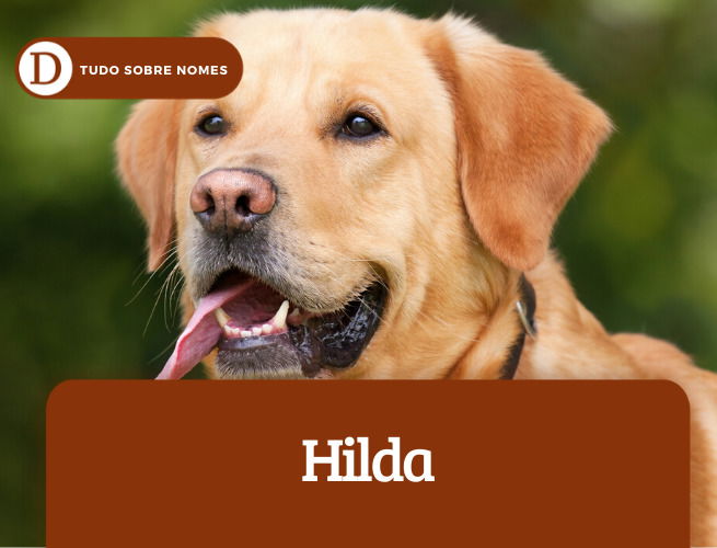 Hilda