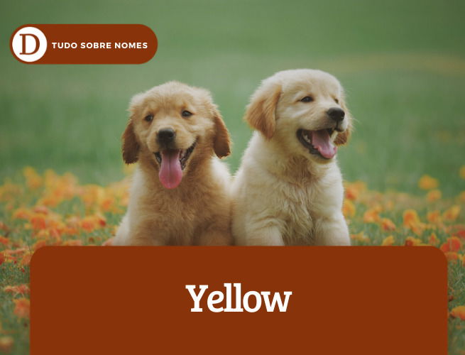 yellow