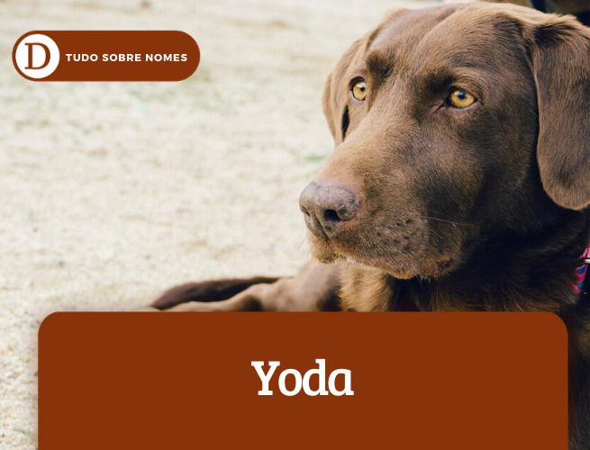 Yoda