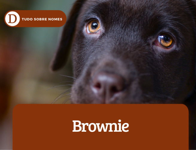 brownie
