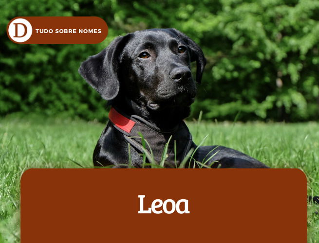 leoa