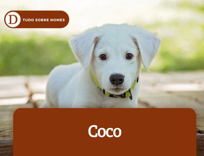 coco