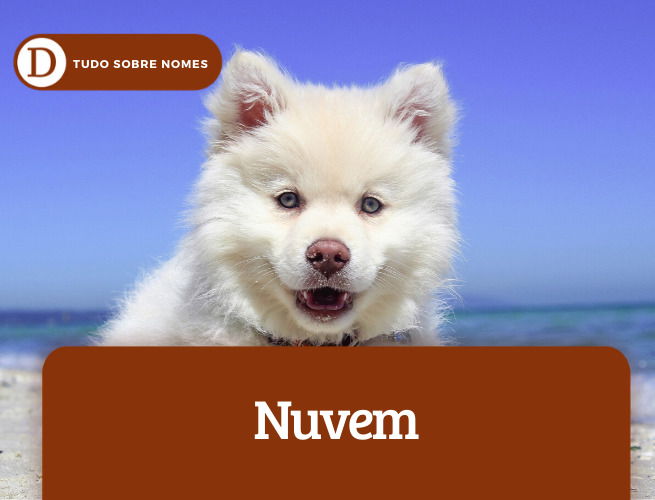 nuvem