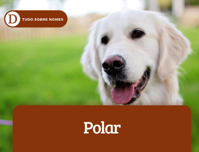 polar