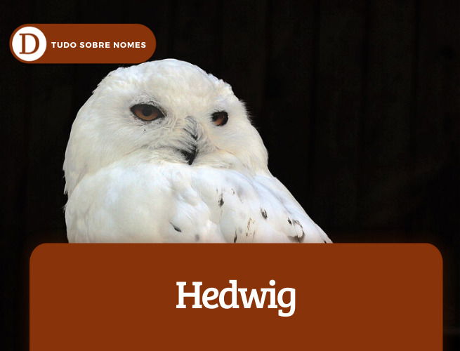 Hedwig