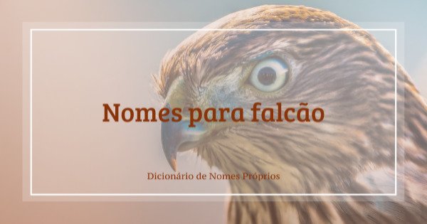 208 nomes para falcão - Dicionário de Nomes Próprios