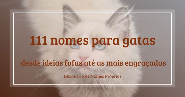 Nomes De Gatos De Desenhos Animados