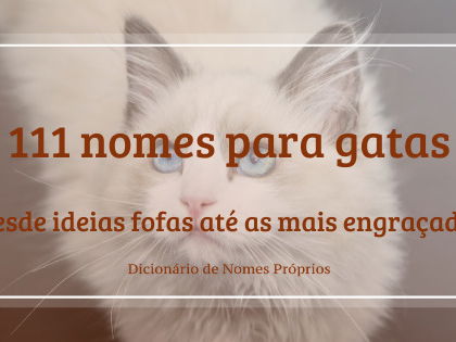 Sujestões de nomes?(só mais uma!)