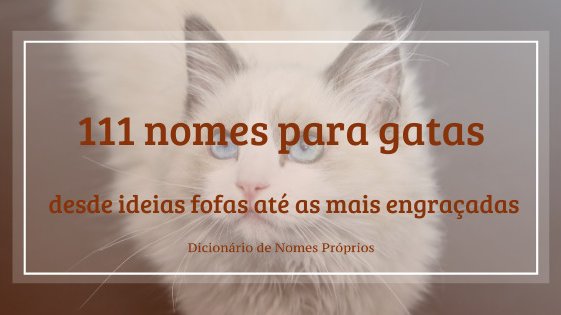 Nomes para gatos em francês - Mais de 100 ideias originais